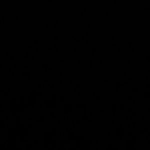 Meet your Posher, Princess